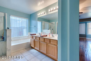 9536 E Glencove St, Mesa, AZ 85207 photo 25