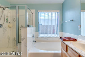 9536 E Glencove St, Mesa, AZ 85207 photo 26