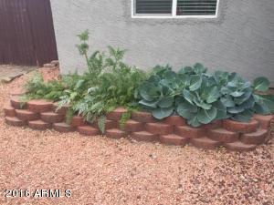 3904 E Dulciana Ave, Mesa, AZ 85206 photo 17
