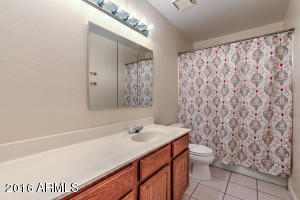 2553 E Adobe St, Mesa, AZ 85213 photo 17