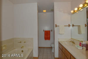 1933 E Janice Way, Phoenix, AZ 85022 photo 20