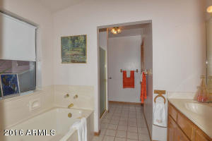 1933 E Janice Way, Phoenix, AZ 85022 photo 31