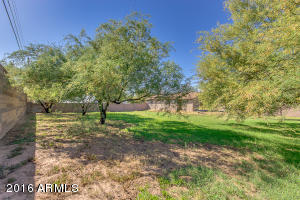 2033 E Oasis St, Mesa, AZ 85213 photo 92