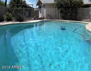 1119 E Marigold Ln, Tempe, AZ 85288 photo 35