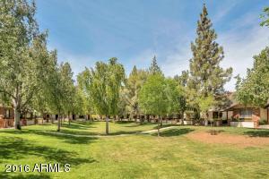 170 E Guadalupe Rd #104, Gilbert, AZ 85234 photo 2