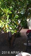 9863 E Flossmoor Ave, Mesa, AZ 85208 photo 24