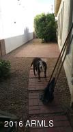 9863 E Flossmoor Ave, Mesa, AZ 85208 photo 25