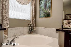 3588 E Chestnut Ln, Gilbert, AZ 85298 photo 43