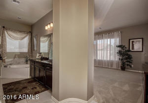 3588 E Chestnut Ln, Gilbert, AZ 85298 photo 38