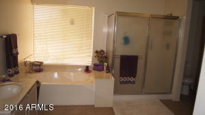 16014 S 29th St, Phoenix, AZ 85048 photo 8