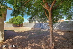 11022 E Wier Ave, Mesa, AZ 85208 photo 24
