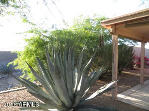 2101 S Meridian Rd #412, Apache Junction, AZ 85120 photo 26