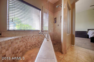 4505 E Sandia St, Phoenix, AZ 85044 photo 12