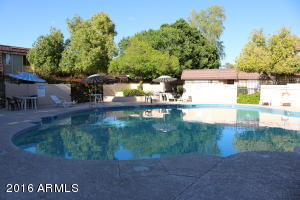 1403 E Malibu Dr, Tempe, AZ 85282 photo 36