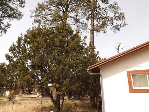 2070 Pine Lake Dr, Overgaard, AZ 85933 photo 3