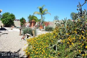 6222 E Quartz St, Mesa, AZ 85215 photo 43