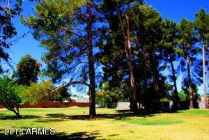 288 E Shannon St, Gilbert, AZ 85295 photo 10