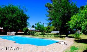 288 E Shannon St, Gilbert, AZ 85295 photo 13