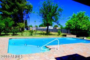 288 E Shannon St, Gilbert, AZ 85295 photo 11