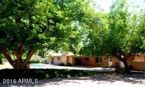 288 E Shannon St, Gilbert, AZ 85295 photo 6