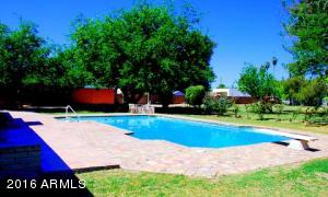 288 E Shannon St, Gilbert, AZ 85295 photo 12
