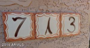 713 E Mountain Sky Ave, Phoenix, AZ 85048 photo 49