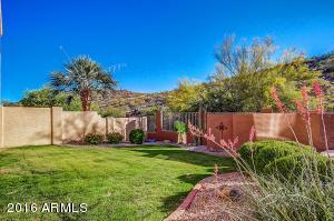 713 E Mountain Sky Ave, Phoenix, AZ 85048 photo 47