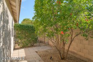 3128 E Roveen Ave, Phoenix, AZ 85032 photo 23
