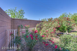 2675 E Blue Spruce Ln, Gilbert, AZ 85298 photo 52