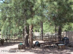 2974 Windmill Ln, Overgaard, AZ 85933 photo 11