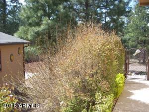 2974 Windmill Ln, Overgaard, AZ 85933 photo 40