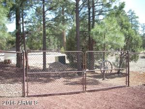 2974 Windmill Ln, Overgaard, AZ 85933 photo 32