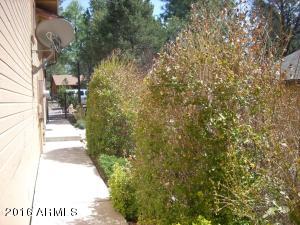 2974 Windmill Ln, Overgaard, AZ 85933 photo 30