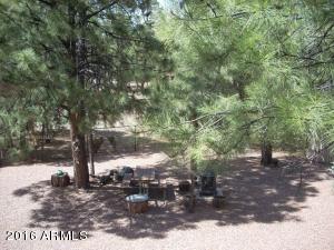 2974 Windmill Ln, Overgaard, AZ 85933 photo 8
