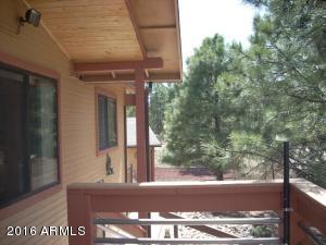 2974 Windmill Ln, Overgaard, AZ 85933 photo 10