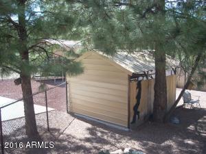 2974 Windmill Ln, Overgaard, AZ 85933 photo 29