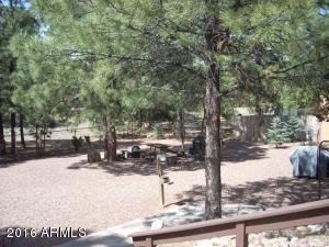 2974 Windmill Ln, Overgaard, AZ 85933 photo 41
