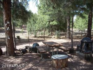 2974 Windmill Ln, Overgaard, AZ 85933 photo 24