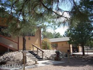 2974 Windmill Ln, Overgaard, AZ 85933 photo 2