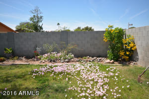 612 E Sesame St, Tempe, AZ 85283 photo 13