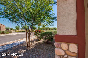 3037 E Franklin Ave, Gilbert, AZ 85295 photo 32