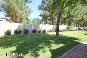 9650 E Tranquility Way, Sun Lakes, AZ 85248 photo 21