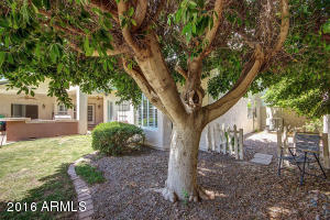 4505 Enrose St, Mesa, AZ 85205 photo 50