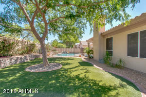 4432 E Chuckwalla Cyn, Phoenix, AZ 85044 photo 35