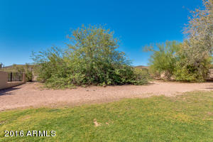 15048 S 39th Pl, Phoenix, AZ 85044 photo 43