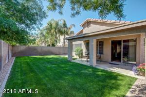 445 W Scott Ave, Gilbert, AZ 85233 photo 27