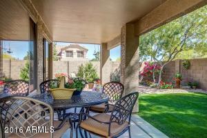 445 W Scott Ave, Gilbert, AZ 85233 photo 22