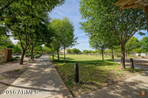 2993 E Ivanhoe St, Gilbert, AZ 85295 photo 30