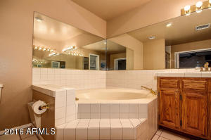 3023 E Covina St, Mesa, AZ 85213 photo 34