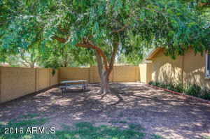 3023 E Covina St, Mesa, AZ 85213 photo 38